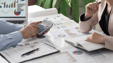 Global IIA Standards Domain V Principle 14 & 15
